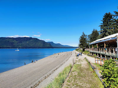 Wilderness Landing