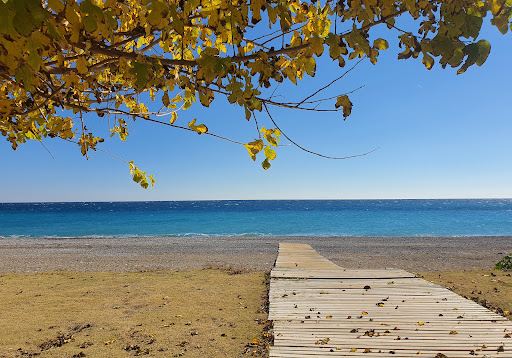 T.C. Kültür Ve Turizm Bakanlığı Turaş Çamyuva Halk Plajı