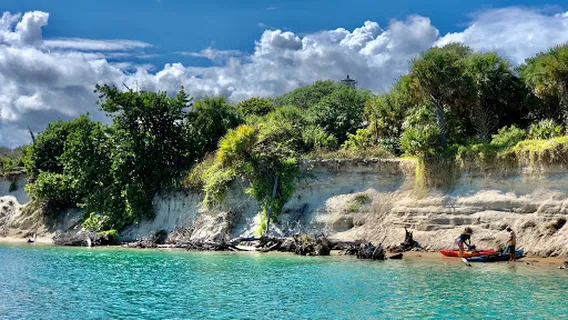 Flying Lady Boat Tours - Jupiter