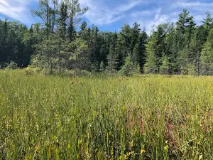 Fairyland State Natural Area