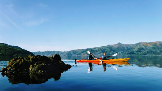 Akaroa Guided Kayak Safari