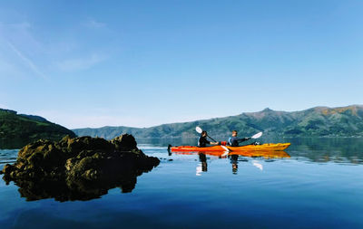 Akaroa Guided Kayak Safari