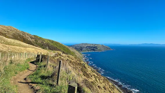 Paekākāriki to Pukerua Bay Escarpment Track