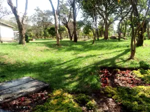 Bahir Dar University peda campus stadium