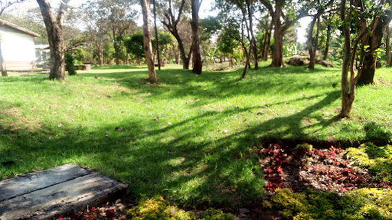Bahir Dar University peda campus stadium