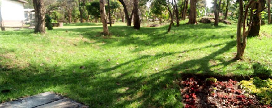Bahir Dar University peda campus stadium