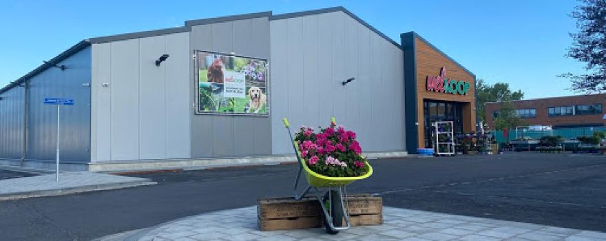 Welkoop Numansdorp