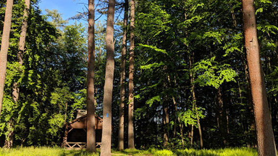 Dutton Pines State Park