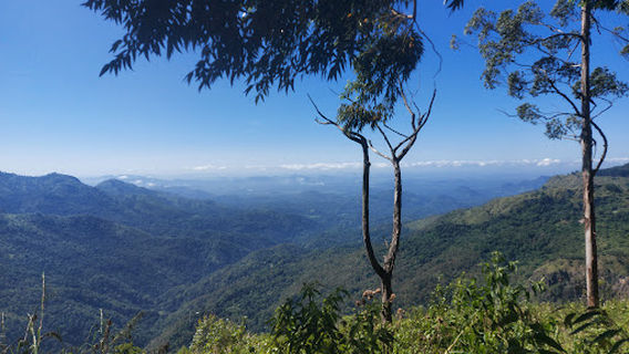 ELLA ROCK VIEW POINT - 02