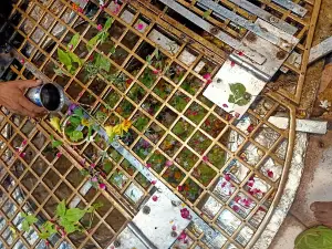 Golagokarannath Mandir