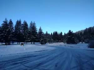 Элмакер Стейт Уэйсайд
