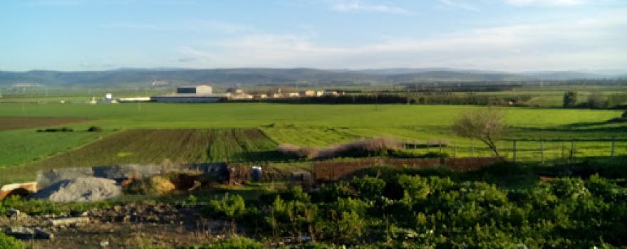 Oued Seybouse