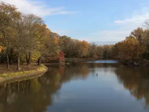 Saulsbury Bridge Recreation Area