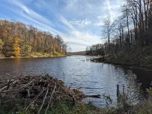 Bear Swamp State Forest