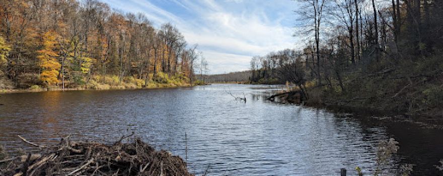 Bear Swamp State Forest