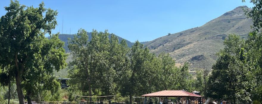 Lions Park
