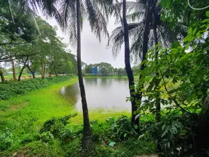 Kasba Upazila Health Complex Mosque
