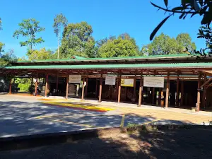 Wat Pa Dan Wiwek (Luang Pu Thui)