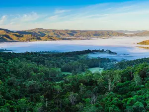 Mapleton Falls National Park