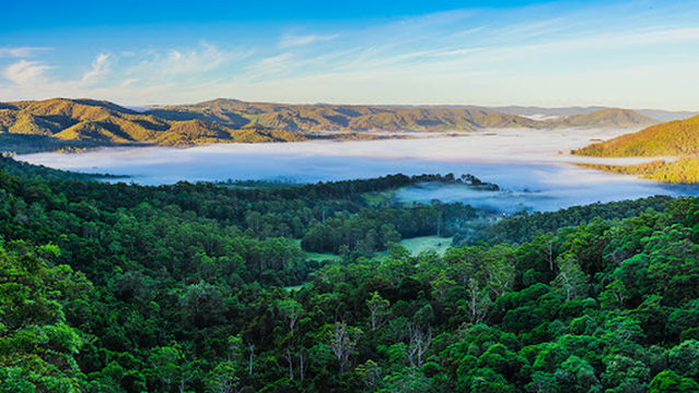 Mapleton Falls National Park