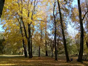 Staryy Park