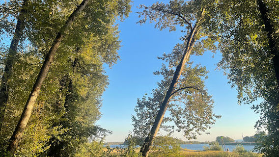 St. Helens - Sand Island Camp Ground