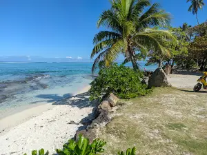 Anini Mara'e