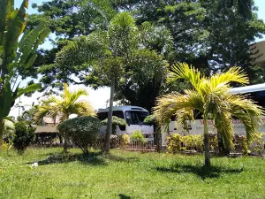 MSU TCTO Park