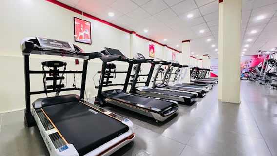 Ghế Massage, Máy Chạy Bộ Kingsport An Giang