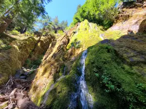 Moon Falls Trailhead