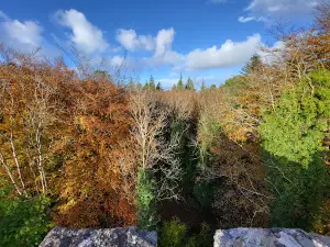 The Guinness Tower (1864)