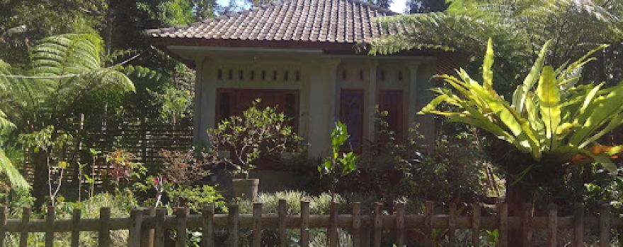 Wisata kebun jeruk