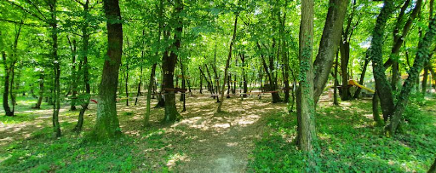 Adventure Park Arsenal