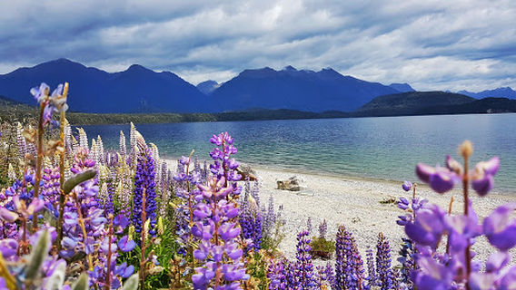 Manapouri