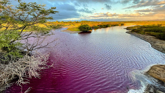 Kealia Pond National Wildlife Refuge