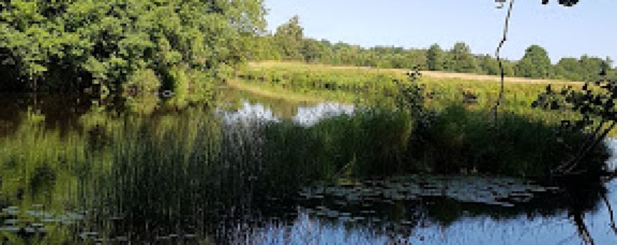 Lagan