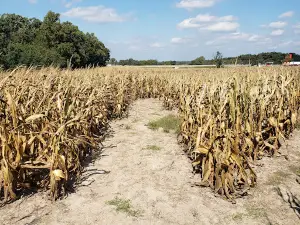 Country Roads Family Fun Farm