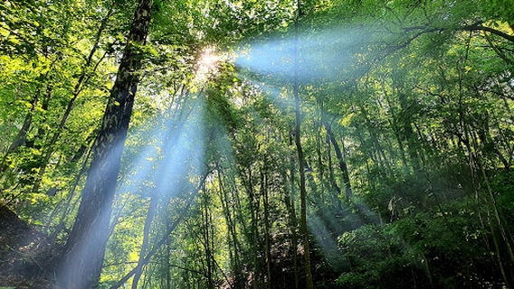 Vodopad "Serebryanyy Kaskad"