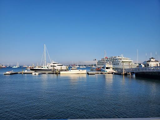 Harbor Park