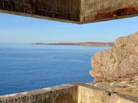 Cove Light Anti Aircraft Battery WW2