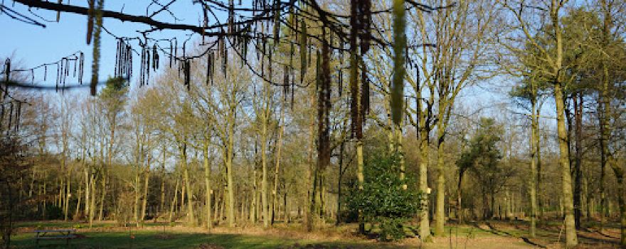 Landgoed de Wildert