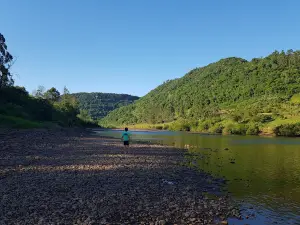 Stone's Camping