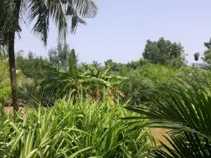 Ekpeame Beach Resort