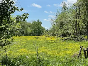 Ballenger Creek Park