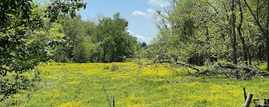 Ballenger Creek Park