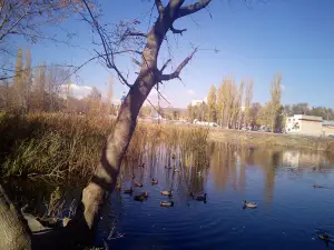 Park Mariny Raskovoy