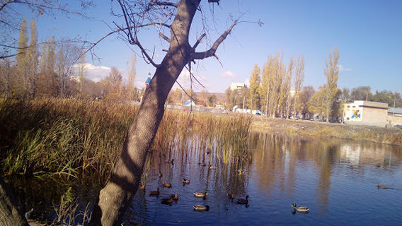 Park Mariny Raskovoy