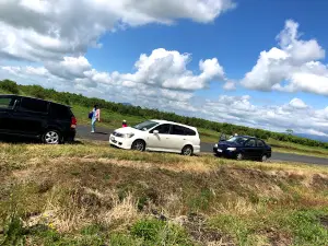 Blueberry Country