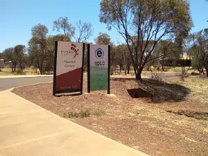 Newman Library