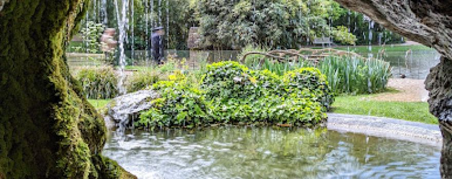 Jardin Dumaine